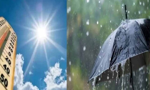 barish2-3.jpg