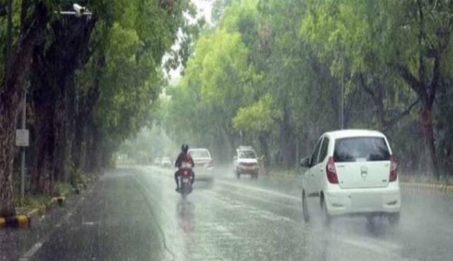 barish8-2.jpg