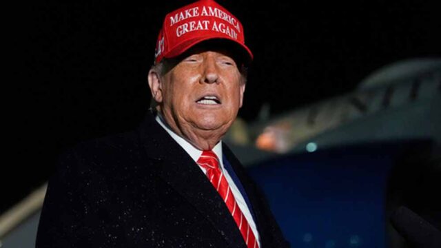 donald1-10.jpg