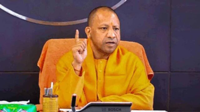 cm_yogi2.jpg