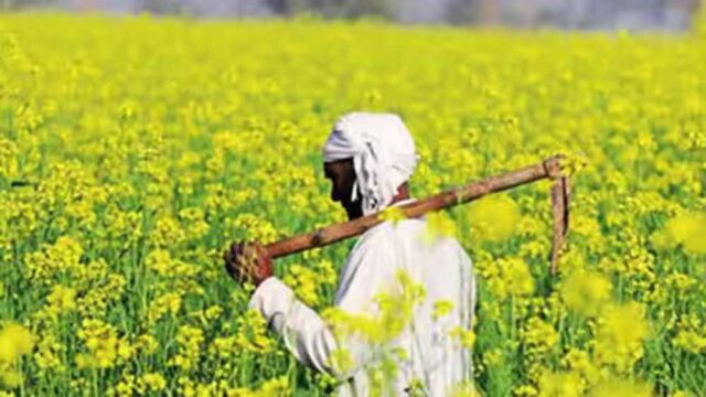 kisan2-1.jpg