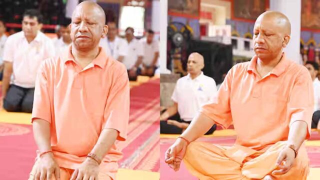 yogi2-11.jpg