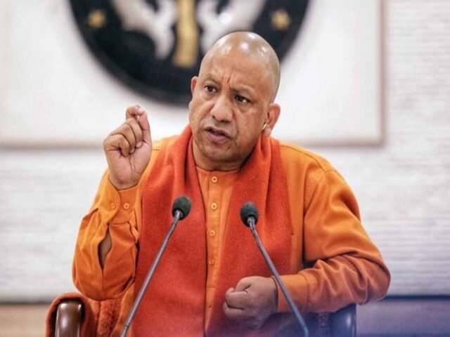 yogi2-14.jpg