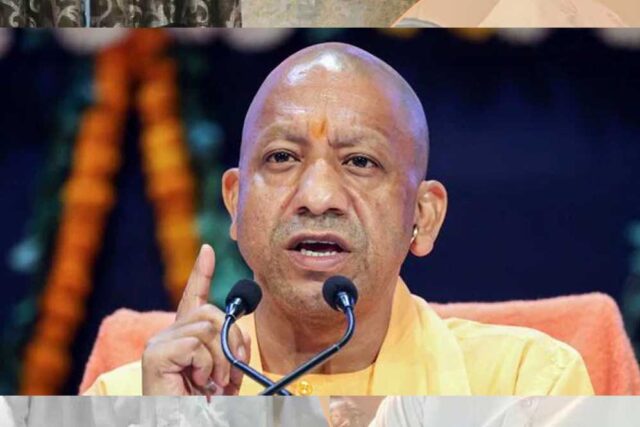 yogi_89_1-1.jpg