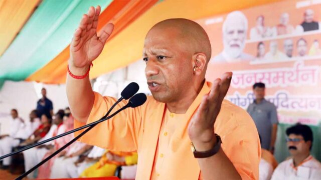 yogi2-20.jpg