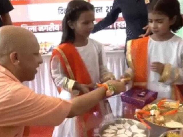 yogi2-3.jpg