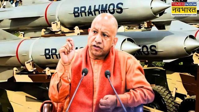 yogi2.jpg
