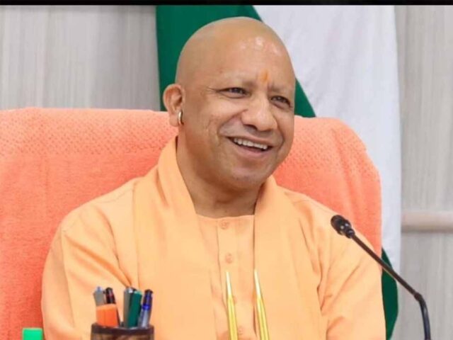 yogi5-3.jpg