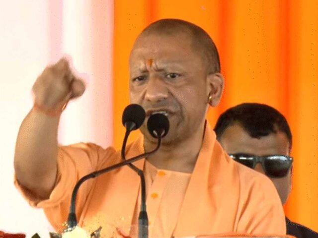 yogi_adi2.jpg