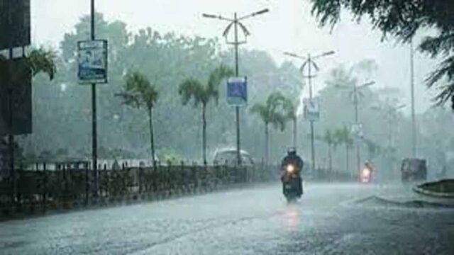 RAIN_HAVE-1.jpg
