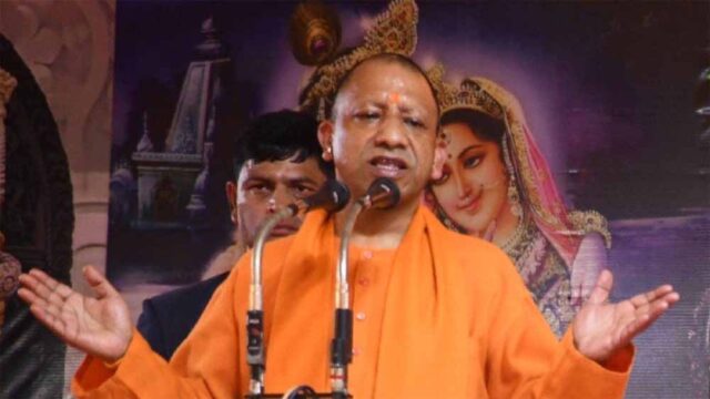 yogi5-3.jpg