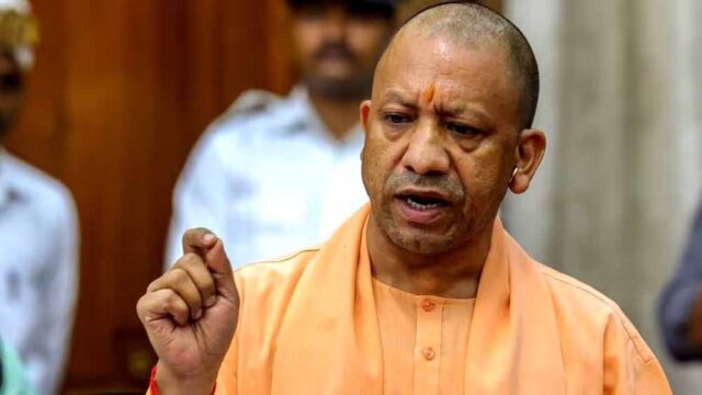 yogi5-5.jpg