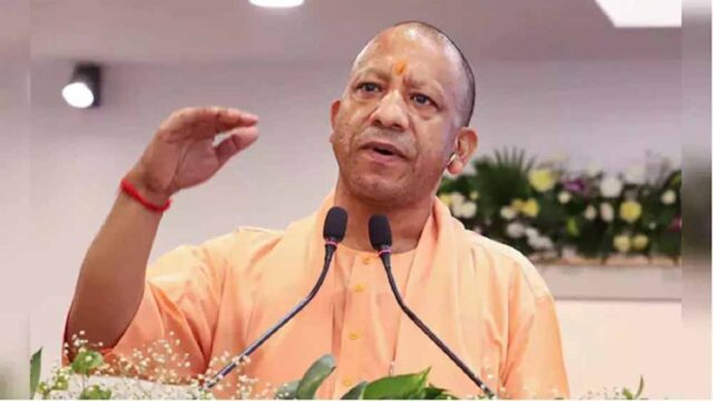 yogi7.jpg