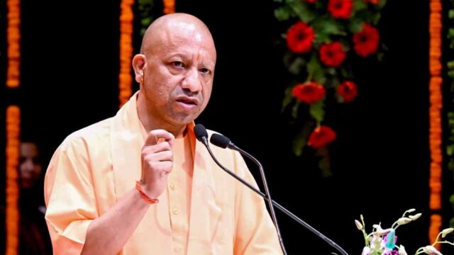 yogi8-2.jpg