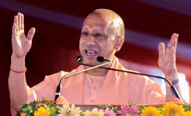 yogi_102_2-7.jpg