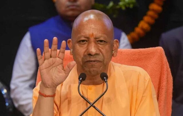 yogi_d_93_4.jpg
