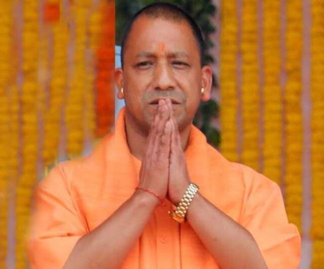 yogi-21.jpg