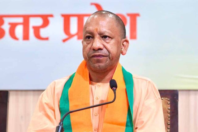 yogi5-1.jpg