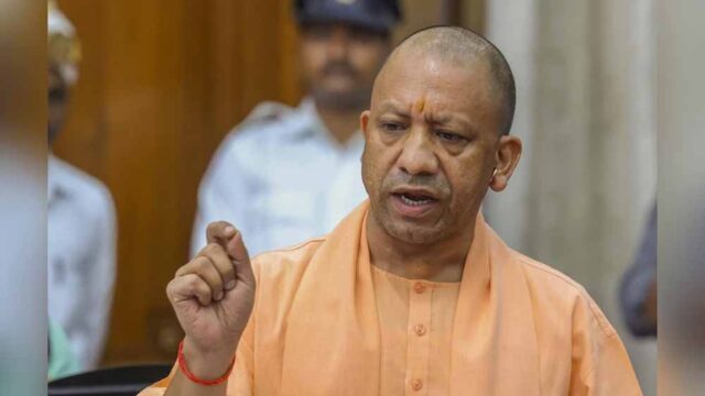 yogi5-5.jpg