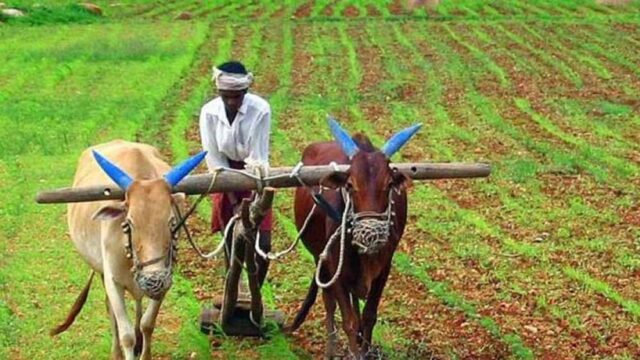 kisan2-6.jpg