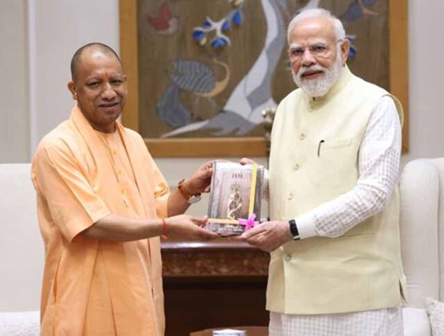 yogi2-1.jpg