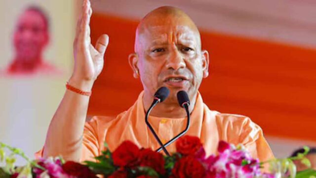 yogi2-10.jpg