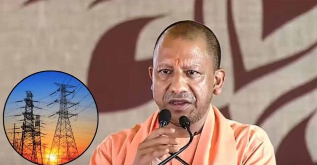 yogi5-4.jpg