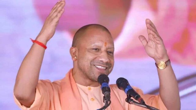 yogi8.jpg