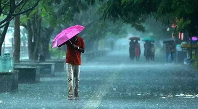 barish2-1.jpg