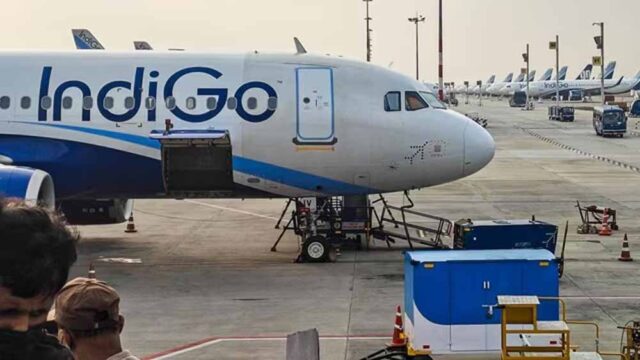 indigo2-5.jpg
