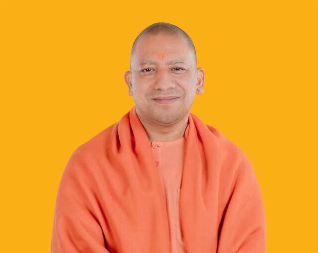 yogi2-2.jpg