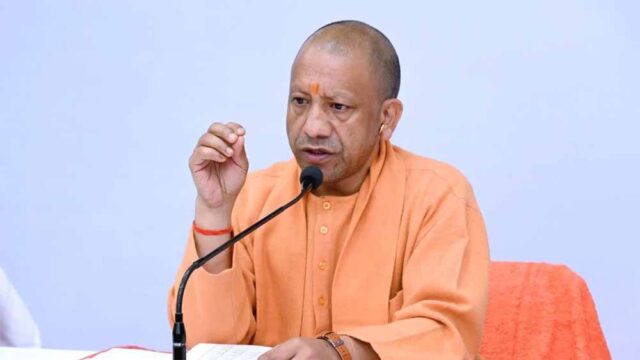 yogi2-8.jpg
