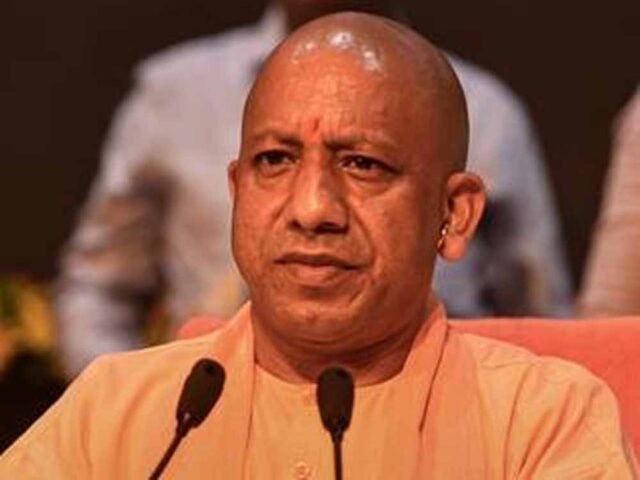 yogi5-4.jpg
