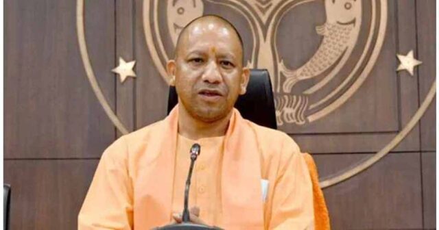 yogi6-4.jpg