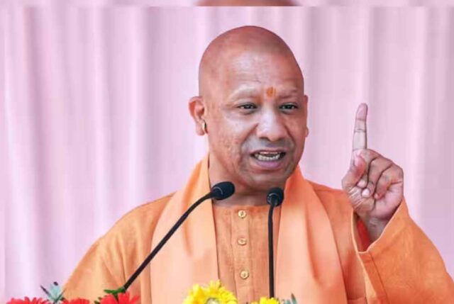 yogi_cm_132_1-3.jpg