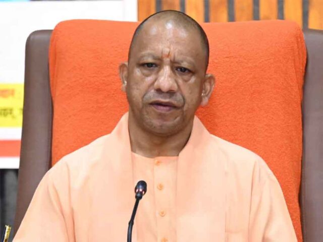 yogi2-3.jpg