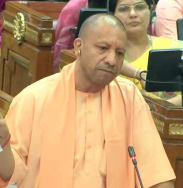 Cm_Yogi_08.jpg