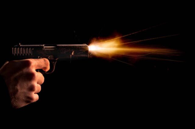 gun_42_2.jpg