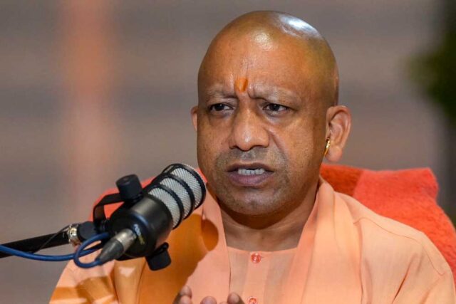 yogi_89_2-1.jpg