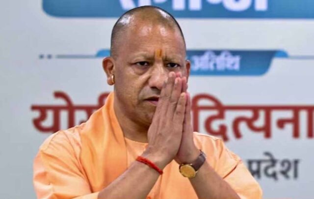 yogi_d_93_5.jpg