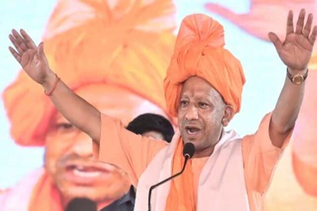 yogi_y_69_4.jpg