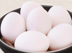 यूपी में अंडों पर एक्सपायरी डेट लिखने का आदेश, नई दिशा-निर्देश जारी