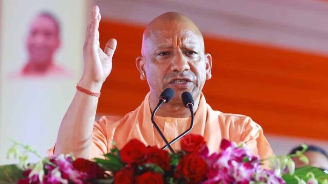 Yogi_02-5.jpg