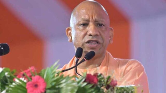 Yogi_03.jpg