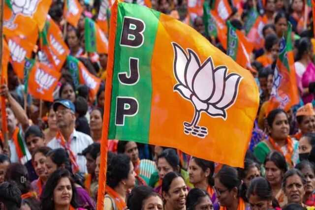 bjp2-8.jpg