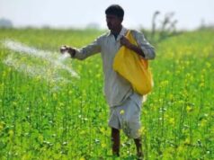 युद्ध बना किसानों के लिए चिंता: कीटनाशक महंगे, उत्पादन लागत में बड़ा उछाल