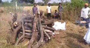 बेटों का फर्ज बेटियों ने निभाया, बागेश्वर में दिल छू लेने वाला अनोखा क्षण