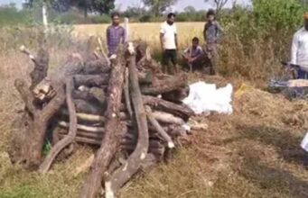 बेटों का फर्ज बेटियों ने निभाया, बागेश्वर में दिल छू लेने वाला अनोखा क्षण