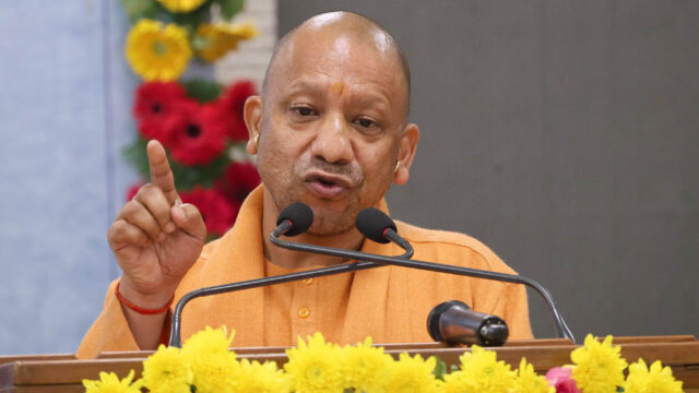 yogi_133_6-5.jpg