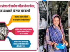 योगी सरकार की योजना: ग्रामीण महिलाएं अब मशरूम उत्पादन से 10 लाख तक कमा रही हैं